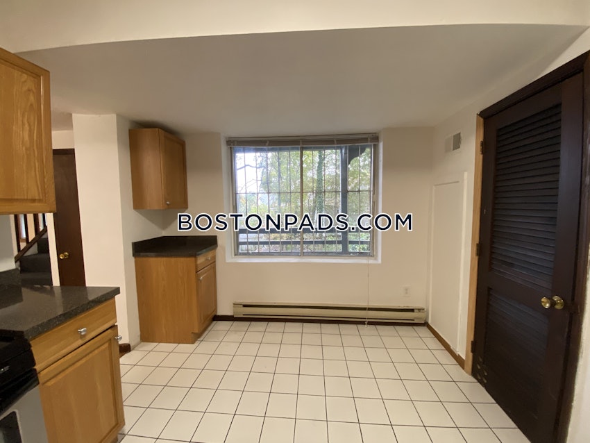 BOSTON - JAMAICA PLAIN - CENTER - 3 Beds, 1 Bath - Image 43