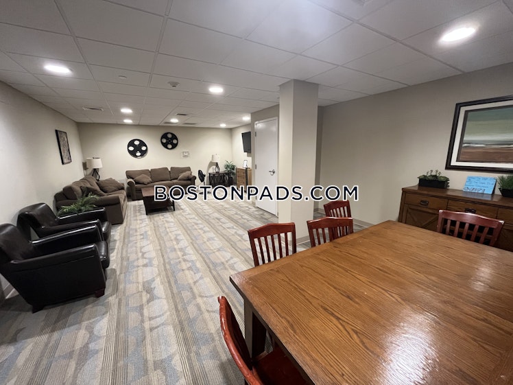 Massachusetts Ave, Cambridge