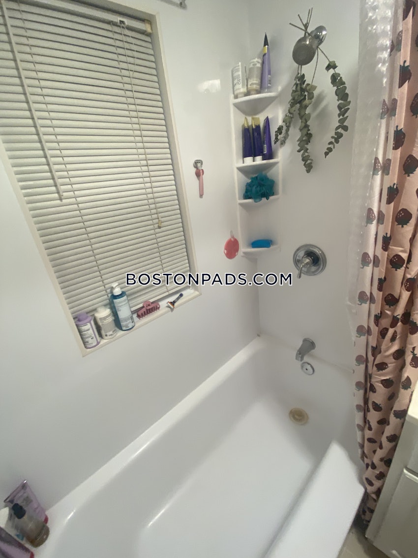 SOMERVILLE - TUFTS - 3 Beds, 1 Bath - Image 43