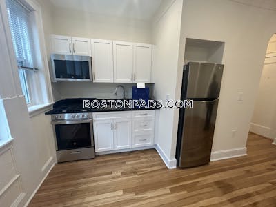 Brighton Apartment for rent 1 Bedroom 1 Bath Boston - $2,575 No Fee