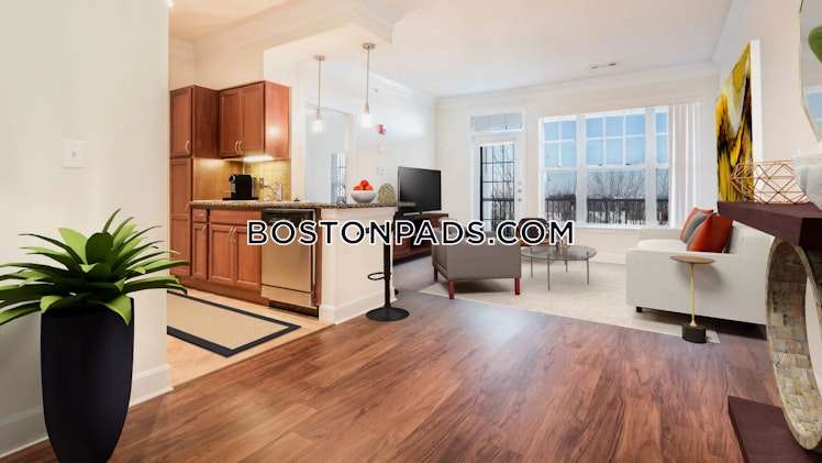 Ricciuti Dr., Quincy