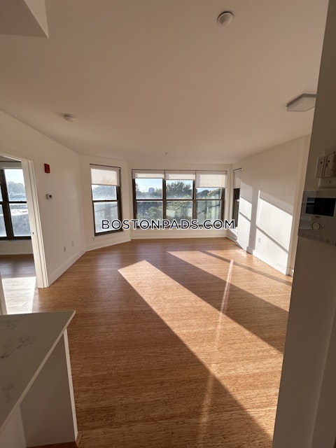 Malvern St. Boston photo 38