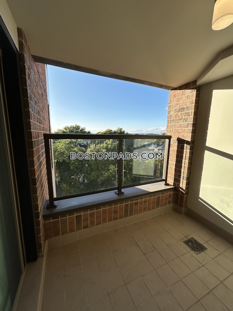 Malvern St. Boston photo 30