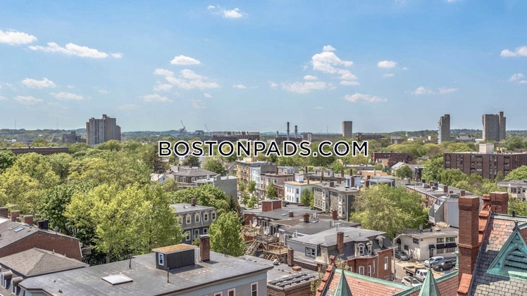 Magazine St., Cambridge