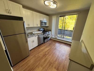 Brighton Apartment for rent 3 Bedrooms 1 Bath Boston - $3,645 No Fee