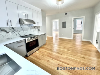 Mission Hill Apartment for rent 4 Bedrooms 2 Baths Boston - $6,200