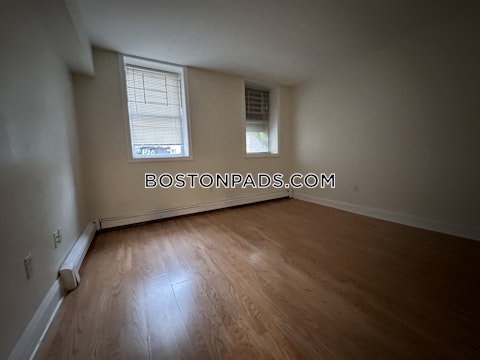 Commonwealth Ave. Boston photo 19