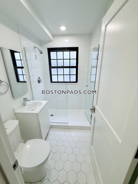 Massachusetts Ave. Cambridge photo 13