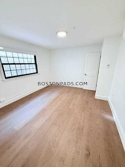 Massachusetts Ave. Cambridge photo 3