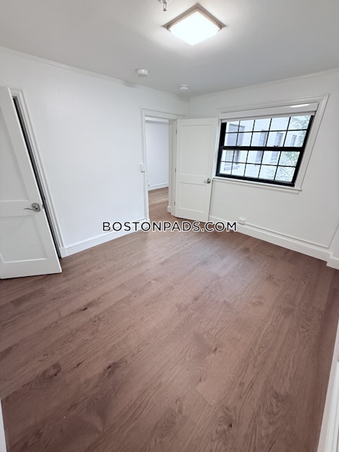 Massachusetts Ave. Cambridge photo 3