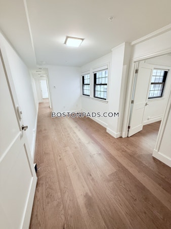 Massachusetts Ave. Cambridge