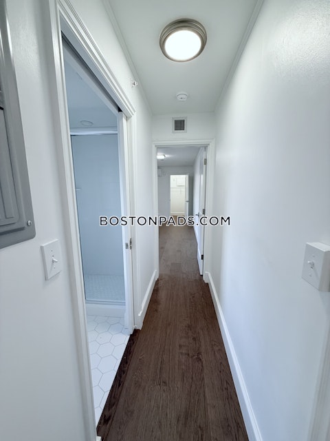 Massachusetts Ave. Cambridge photo 5