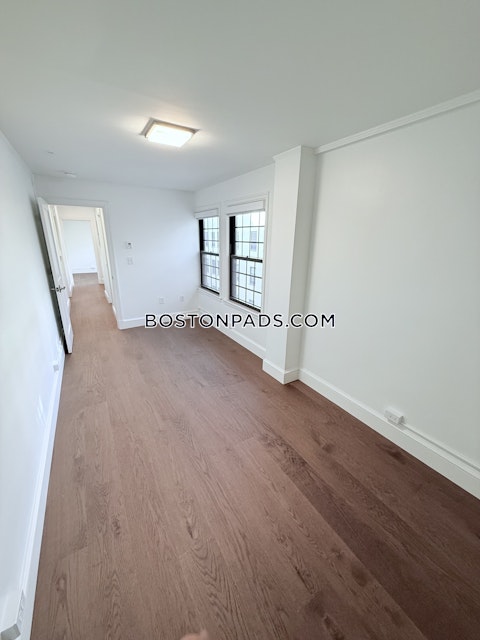 Massachusetts Ave. Cambridge photo 3