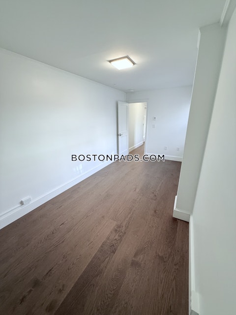 Massachusetts Ave. Cambridge photo 2