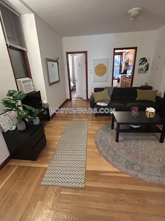 Harrison Ave. Boston