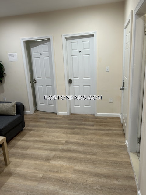 Harrison Ave. Boston photo 45