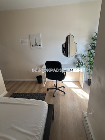 Harrison Ave. Boston