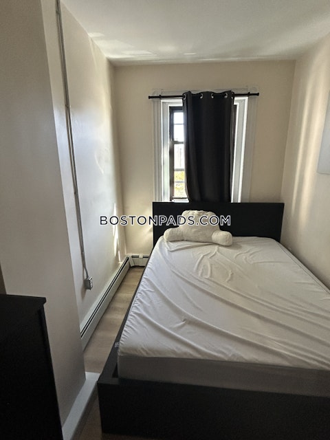 Harrison Ave. Boston photo 28