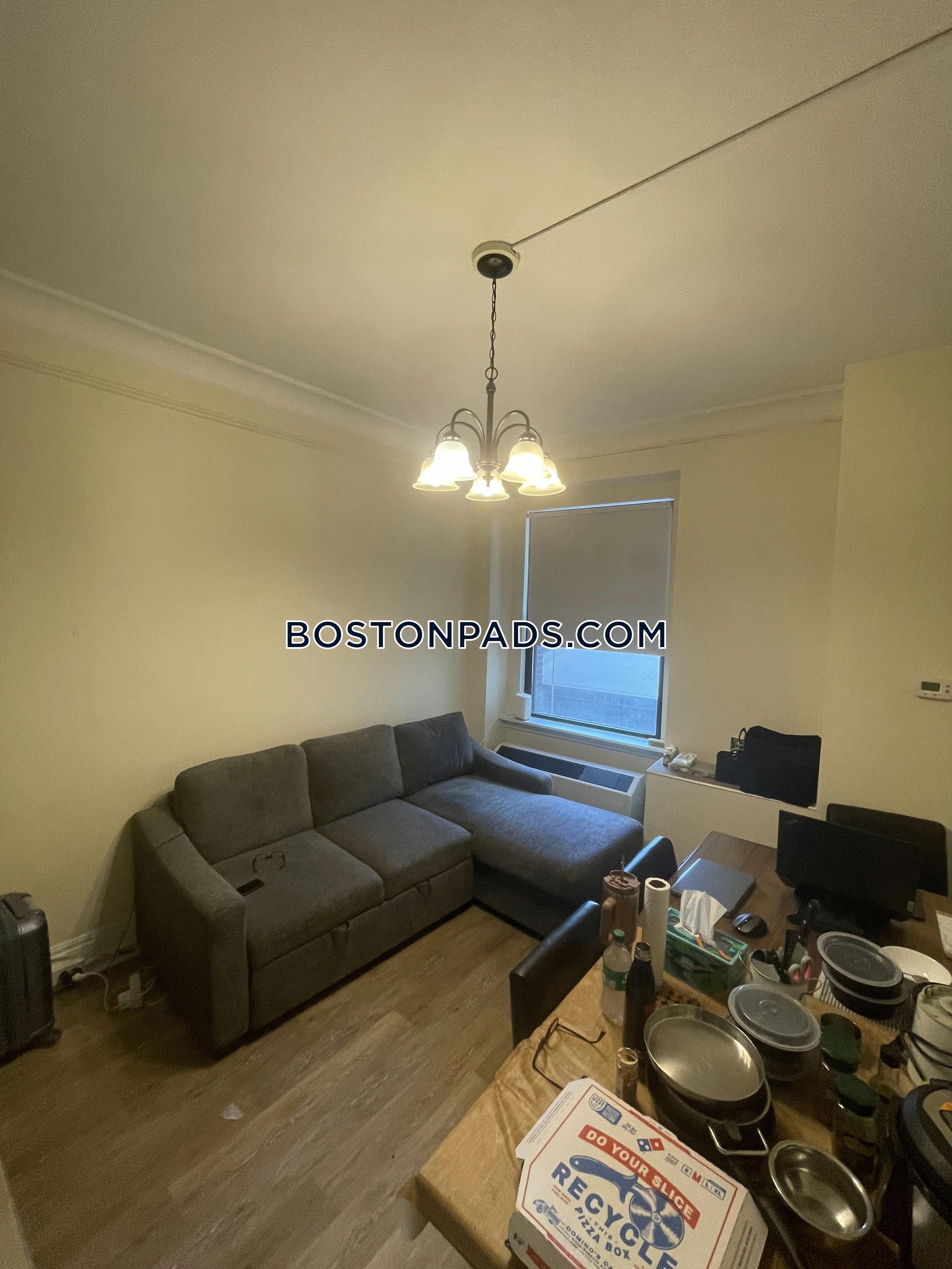 Chinatown, Boston, MA - Studio, 1 Bath - $2,500 - ID#8010099
