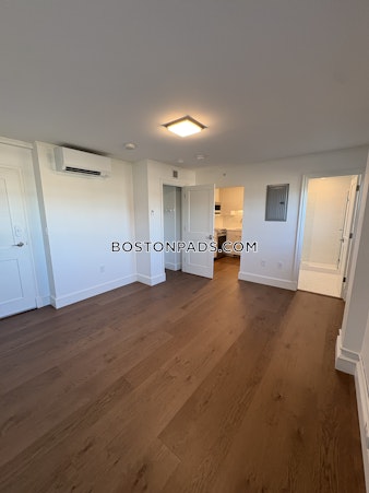 Massachusetts Ave. Cambridge