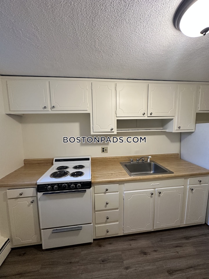 newton-apartment-for-rent-1-bedroom-1-bath-chestnut-hill-1995-8014870 