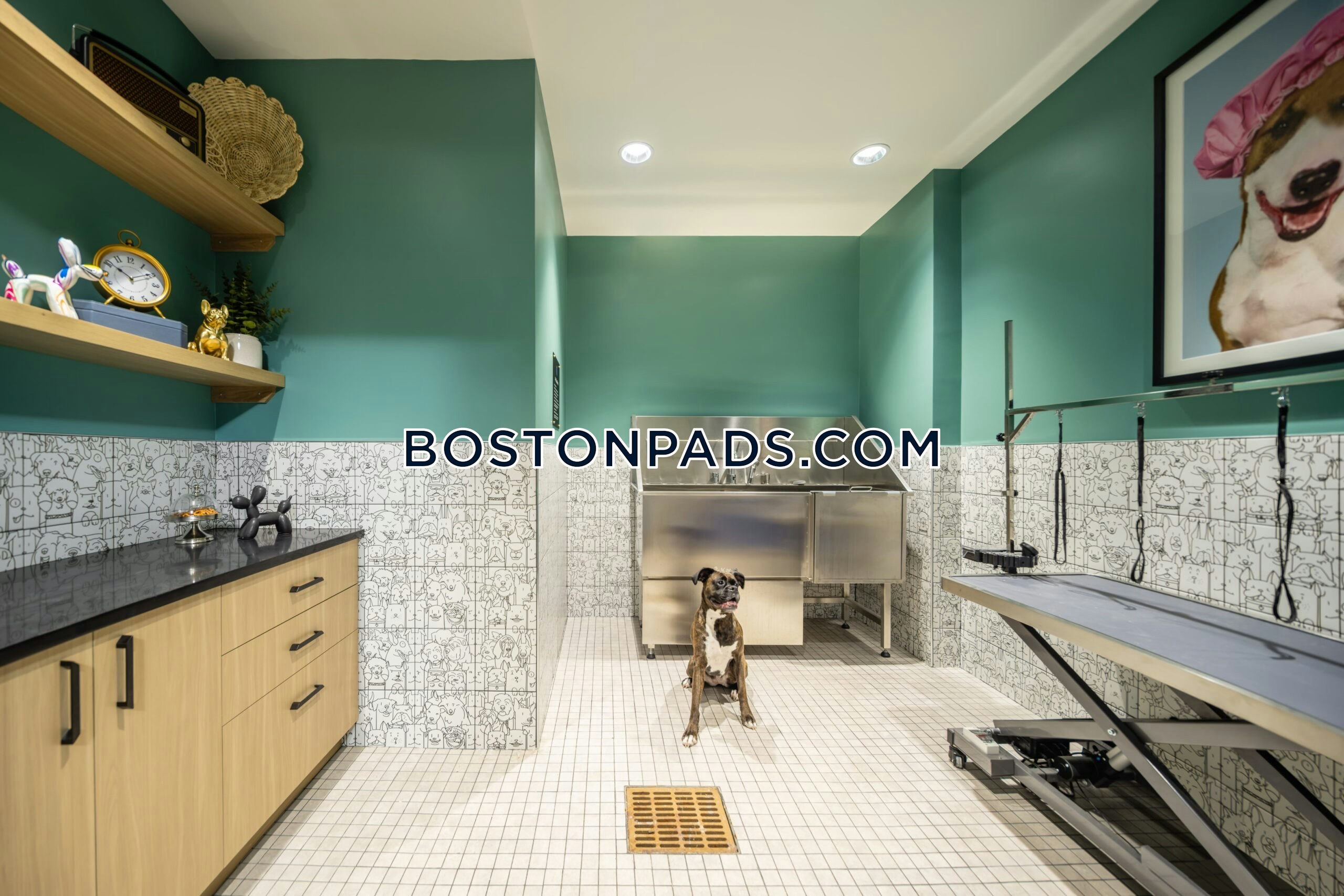 Ashland - 1 Beds, 1 Baths