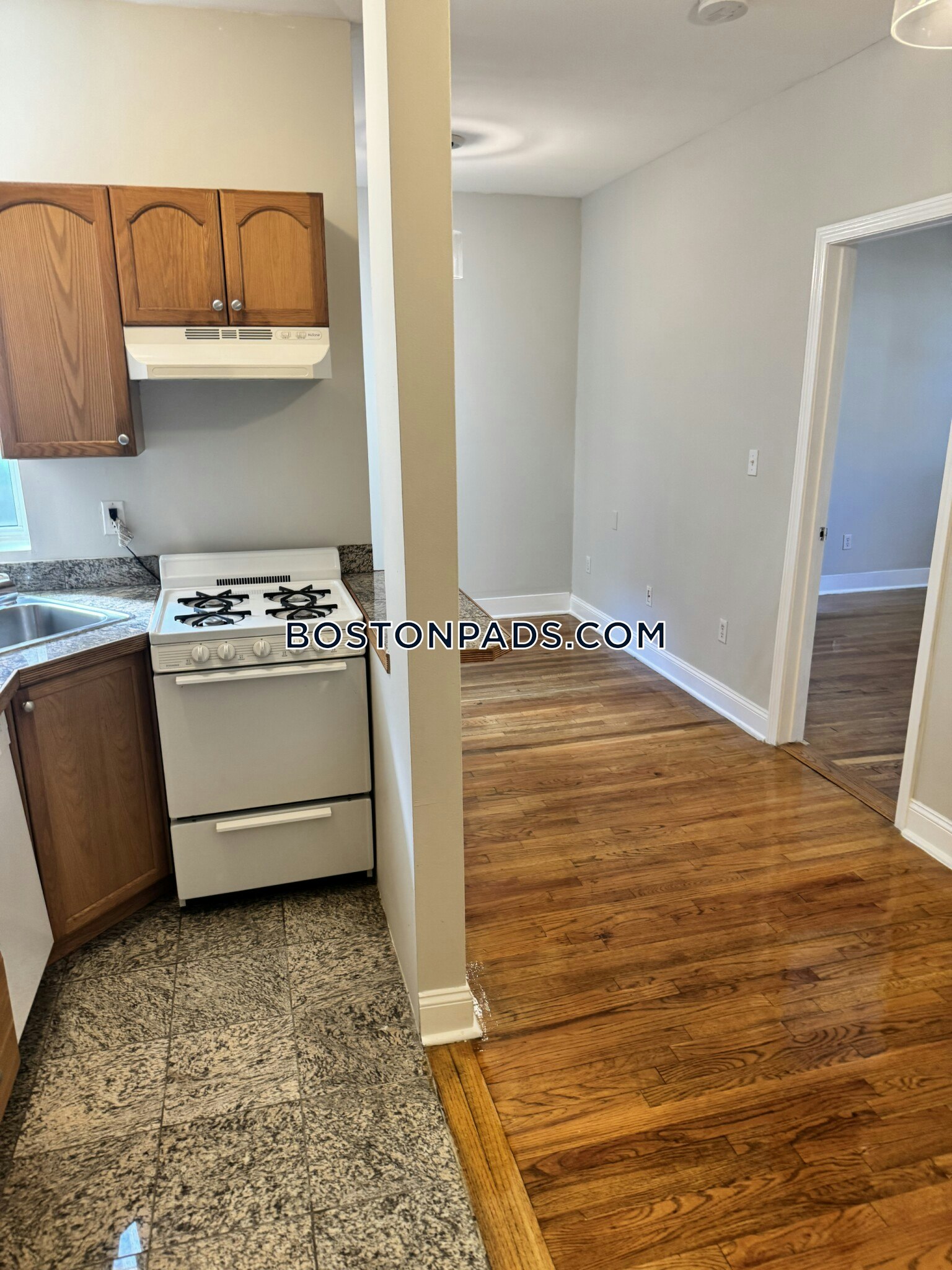 Allston, Boston, MA - 1 Bed, 1 Bath - $2,500 - ID#6049775