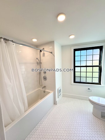 Massachusetts Ave. Cambridge