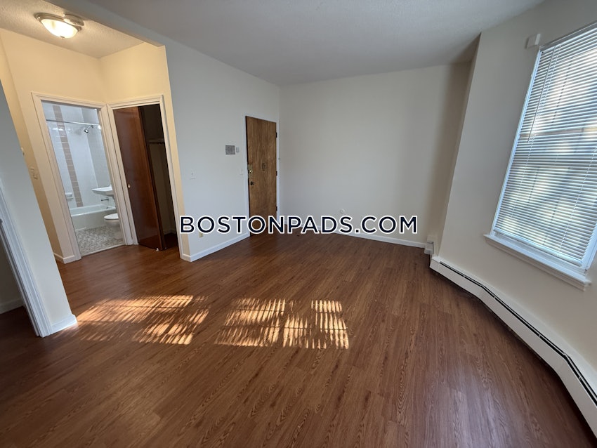 BOSTON - MISSION HILL - Studio , 1 Bath - Image 8