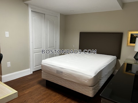 Commonwealth Ave. Boston photo 10