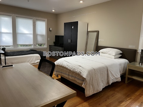 Commonwealth Ave. Boston photo 8