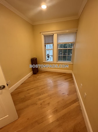 Magazine St. Cambridge