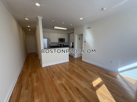 Chauncy St. Cambridge photo 2