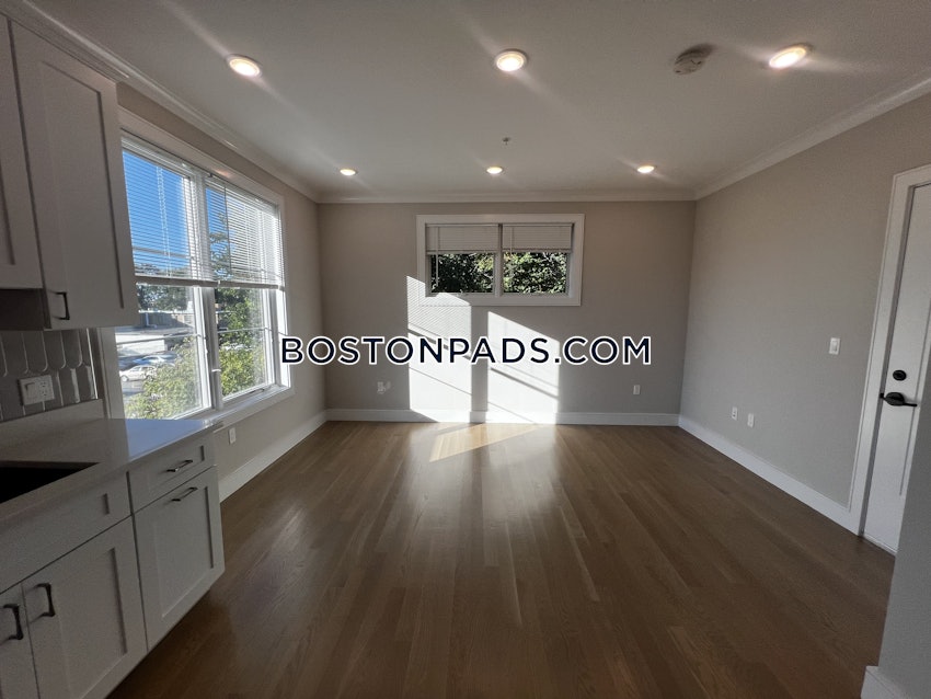 BOSTON - BRIGHTON - BRIGHTON CENTER - 2 Beds, 1 Bath - Image 18