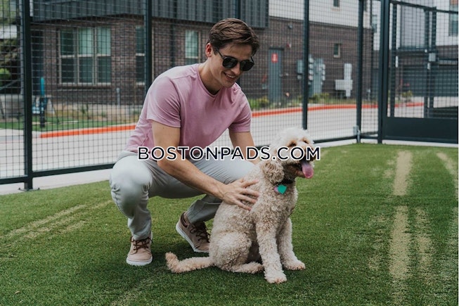 Boston - $3,598+ /mo