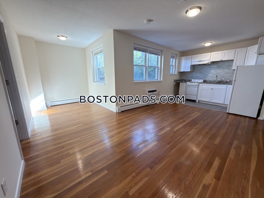 BOSTON - BRIGHTON - BOSTON COLLEGE - 1 Bed, 1 Bath - Image 18