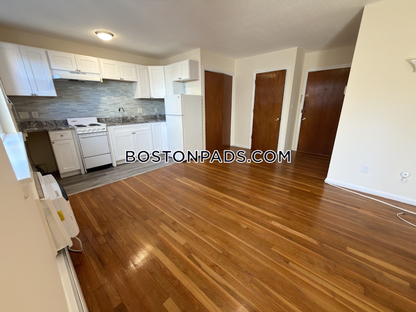 BOSTON - BRIGHTON - BOSTON COLLEGE - 1 Bed, 1 Bath - Image 17
