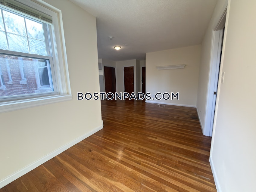 BOSTON - BRIGHTON - BOSTON COLLEGE - 1 Bed, 1 Bath - Image 14