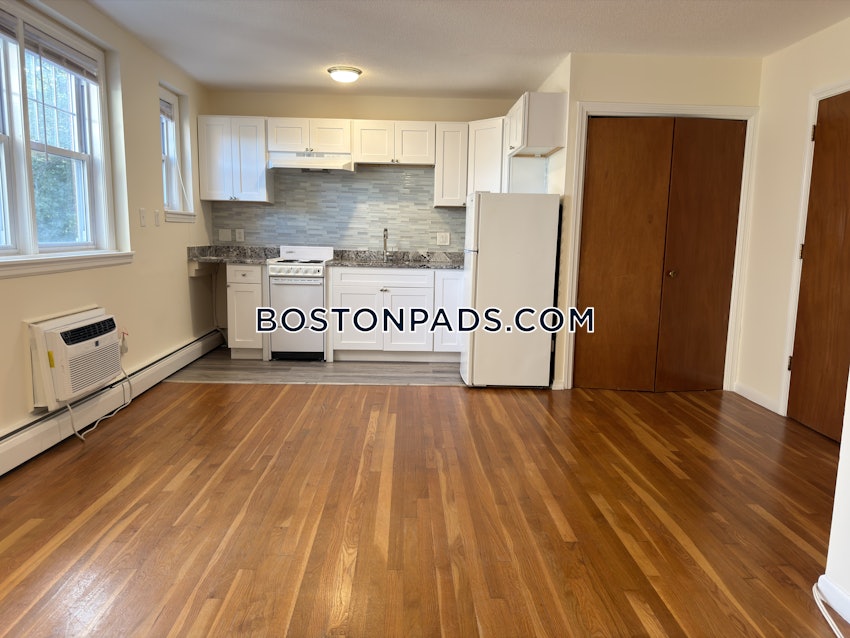 BOSTON - BRIGHTON - BOSTON COLLEGE - 1 Bed, 1 Bath - Image 13