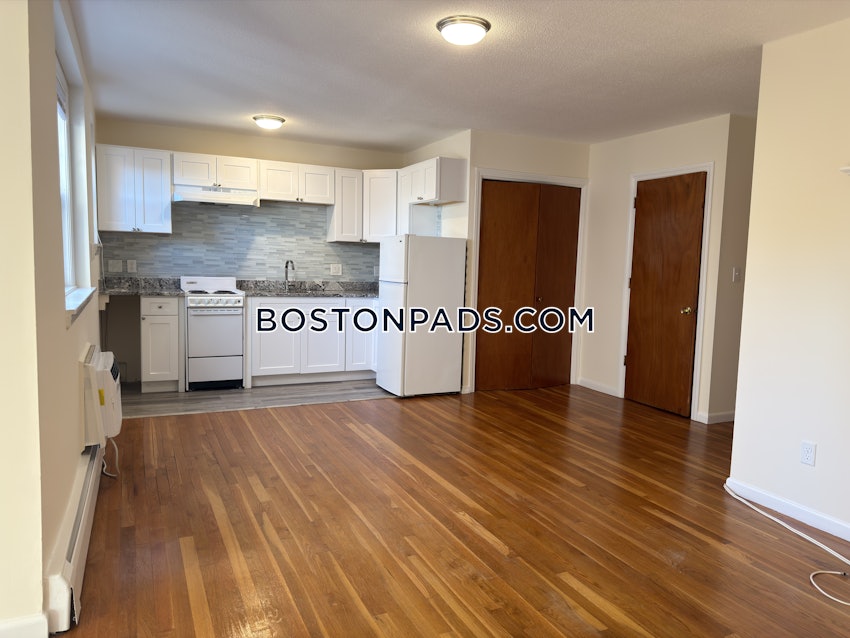 BOSTON - BRIGHTON - BOSTON COLLEGE - 1 Bed, 1 Bath - Image 12