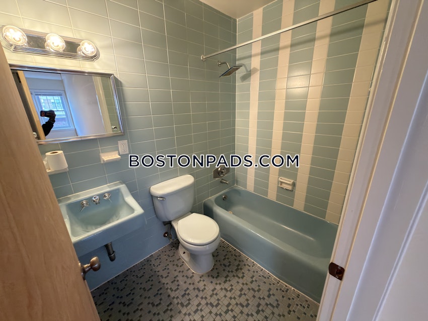 BOSTON - BRIGHTON - BOSTON COLLEGE - 1 Bed, 1 Bath - Image 26