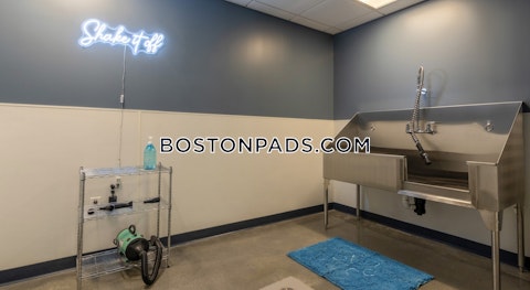 Soldiers Field Rd. Boston photo 28