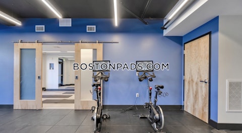 Soldiers Field Rd. Boston photo 18