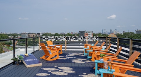 Soldiers Field Rd. Boston photo 13