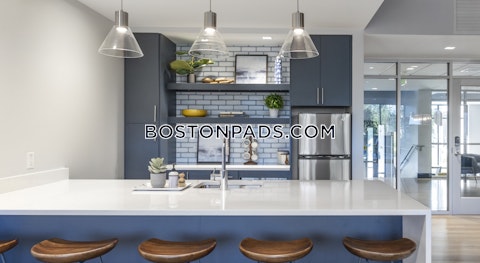 Soldiers Field Rd. Boston photo 2