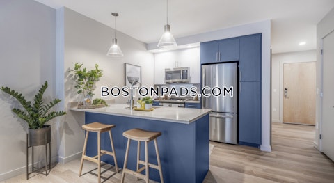 Soldiers Field Rd. Boston photo 19