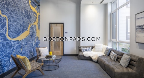 Soldiers Field Rd. Boston photo 18