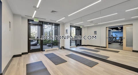 Soldiers Field Rd. Boston photo 15