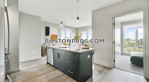 Soldiers Field Rd. Boston photo 10