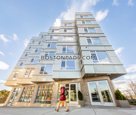 Centre St. Boston photo 26